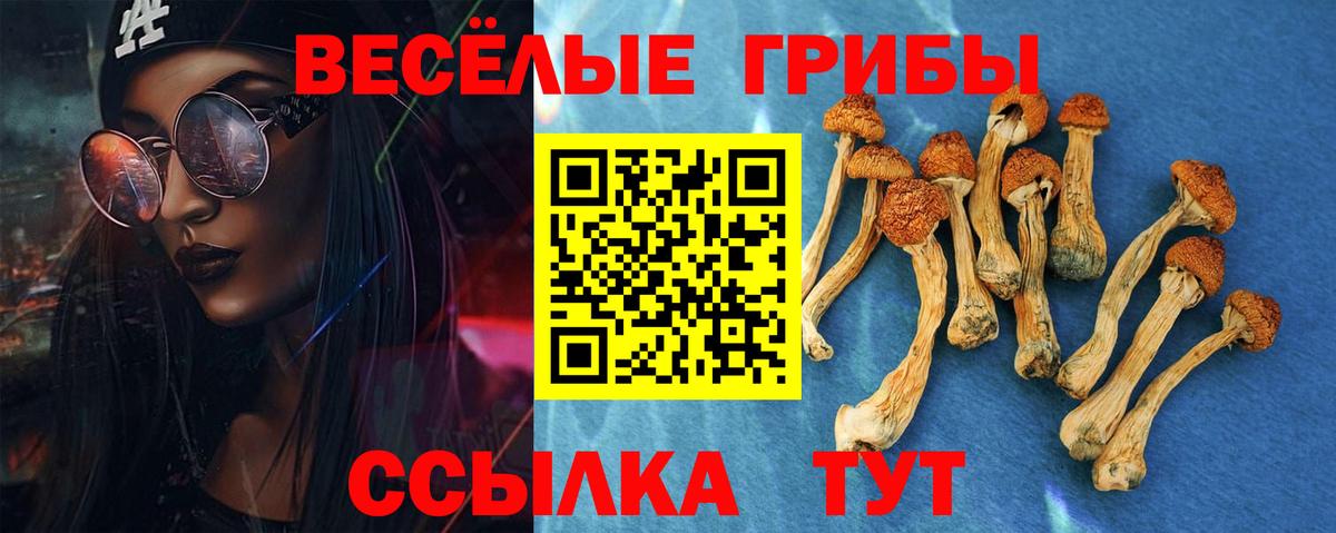 Псилоцибиновые грибы мухоморы  Вход с VPN  Волгоград 